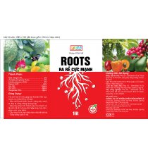 Roots 1L